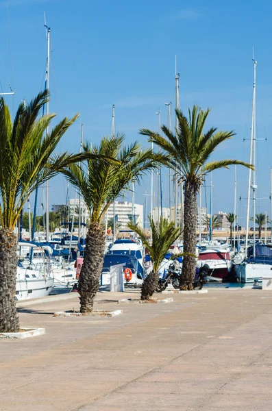 La Manga, İspanya - 4 Mart 2019 Marina Bay La M'de lüks tekneler