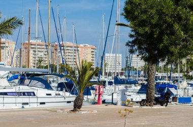 La Manga, İspanya - 4 Mart 2019 Marina Bay La M'de lüks tekneler