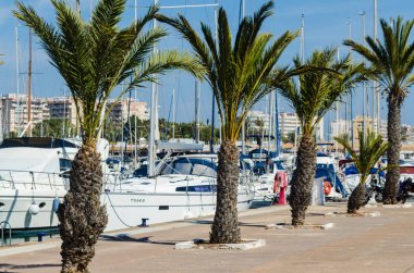 La Manga, İspanya - 4 Mart 2019 Marina Bay La M'de lüks tekneler