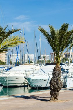 La Manga, İspanya - 4 Mart 2019 Marina Bay La M'de lüks tekneler