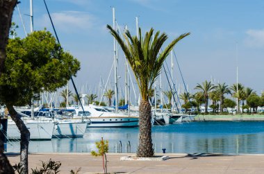 La Manga, İspanya - 4 Mart 2019 Marina Bay La M'de lüks tekneler