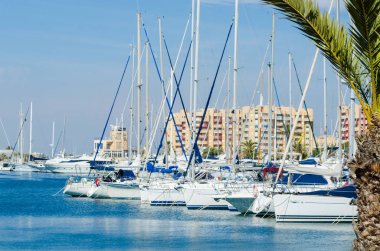 La Manga, İspanya - 4 Mart 2019 Marina Bay La M'de lüks tekneler