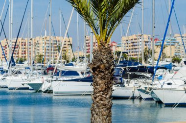 La Manga, İspanya - 4 Mart 2019 Marina Bay La M'de lüks tekneler