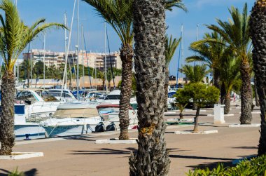 La Manga, İspanya - 4 Mart 2019 Marina Bay La M'de lüks tekneler