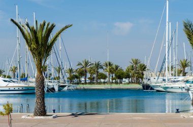 La Manga, İspanya - 4 Mart 2019 Marina Bay La M'de lüks tekneler