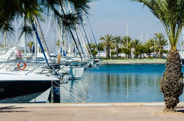 LA MANGA, SPAGNA - 4 MARZO 2019 Barche di lusso nella baia di marina La M — Foto Stock