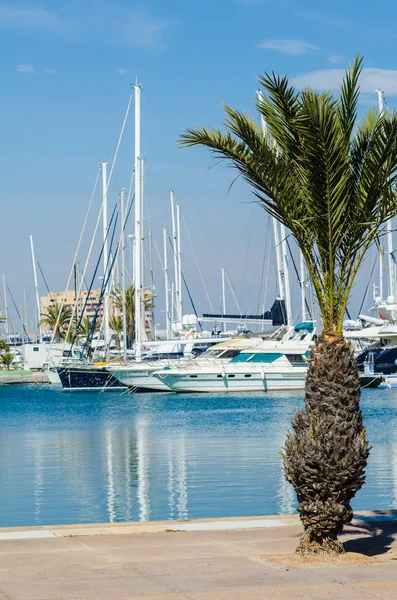 LA MANGA, ESPAÑA - 4 DE MARZO DE 2019 Barcos de lujo en bahía marina La M —  Fotos de Stock