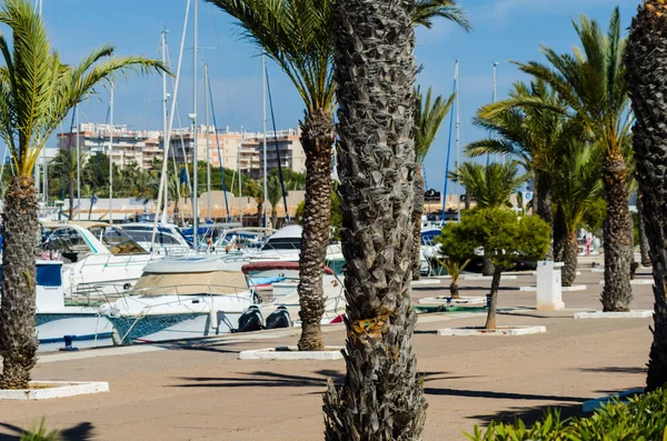 La Manga, İspanya - 4 Mart 2019 Marina Bay La M'de lüks tekneler