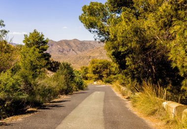 Ünlü t önde gelen dağlarda boş ve dar bir yol