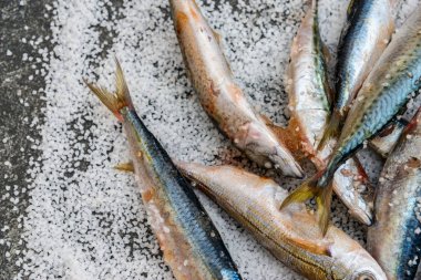 Düz bir su üzerinde yatan deniz tuzu ile tüm çiğ organik uskumru balık