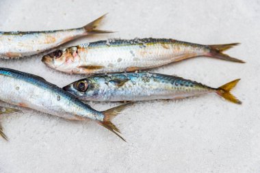 Düz bir su üzerinde yatan deniz tuzu ile tüm çiğ organik uskumru balık