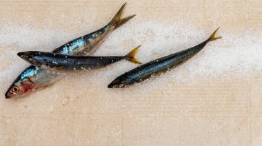 Düz bir su üzerinde yatan deniz tuzu ile tüm çiğ organik uskumru balık