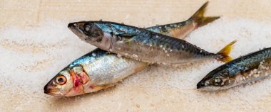 Düz bir su üzerinde yatan deniz tuzu ile tüm çiğ organik uskumru balık