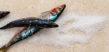 Düz bir su üzerinde yatan deniz tuzu ile tüm çiğ organik uskumru balık