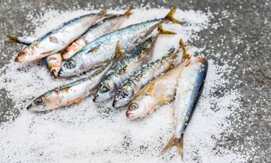 Düz bir su üzerinde yatan deniz tuzu ile tüm çiğ organik uskumru balık