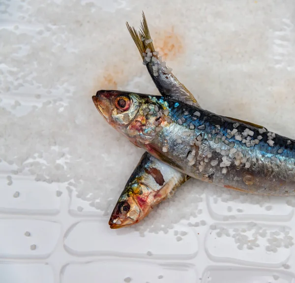Pescado entero de caballa orgánica cruda con sal marina yaciendo en un plano su —  Fotos de Stock