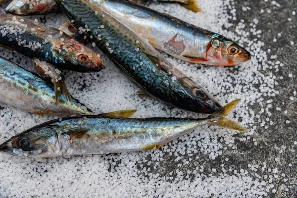 Whole raw organic mackerel fish with sea salt lying on a flat su