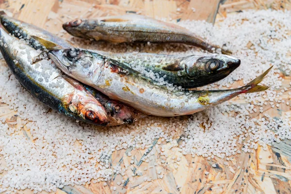 Pescado entero de caballa orgánica cruda con sal marina yaciendo en un plano su — Foto de Stock