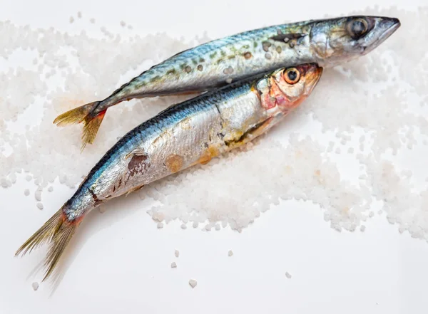 Pescado entero de caballa orgánica cruda con sal marina yaciendo en un plano su — Foto de Stock