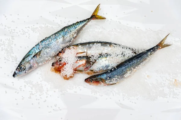 Whole raw organic mackerel fish with sea salt lying on a flat su — Stock Photo, Image