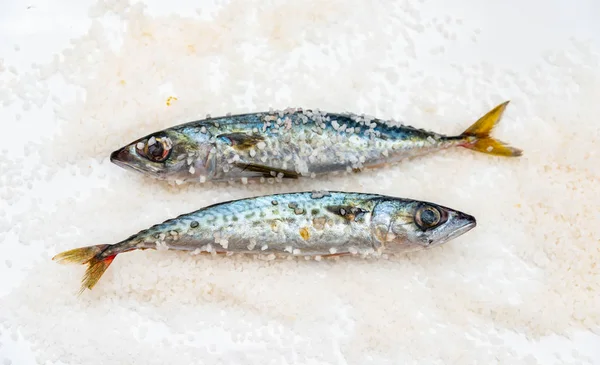 全生有机鱼鱼与海盐躺在平坦的苏 — 图库照片