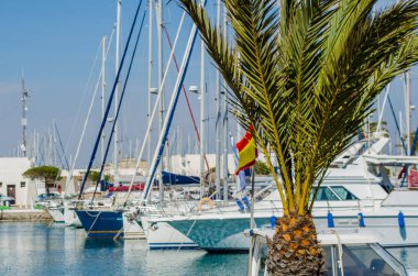 La Manga, İspanya - 4 Mart 2019 Marina Bay La M'de lüks tekneler