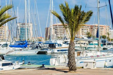 La Manga, İspanya - 4 Mart 2019 Marina Bay La M'de lüks tekneler