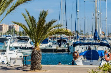La Manga, İspanya - 4 Mart 2019 Marina Bay La M'de lüks tekneler