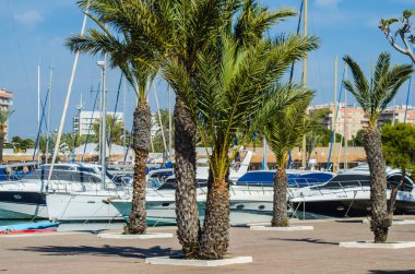 La Manga, İspanya - 4 Mart 2019 Marina Bay La M'de lüks tekneler