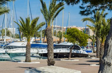 La Manga, İspanya - 4 Mart 2019 Marina Bay La M'de lüks tekneler