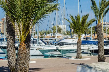 La Manga, İspanya - 4 Mart 2019 Marina Bay La M'de lüks tekneler