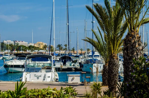 LA MANGA, SPAIN - MARCH 4, 2019 Luxury boats  in marina bay La M — Stock Photo, Image