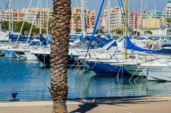 Λα μάνγκα, Ισπανία-4 Μαρτίου 2019 πολυτελή πλωτά καταλύματα σε Marina Bay La M — Φωτογραφία Αρχείου