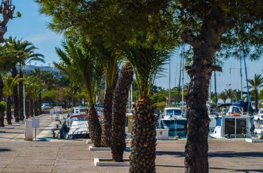 La Manga, İspanya - 4 Mart 2019 Marina Bay La M'de lüks tekneler