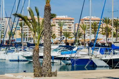 La Manga, İspanya - 4 Mart 2019 Marina Bay La M'de lüks tekneler