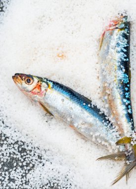 Düz bir su üzerinde yatan deniz tuzu ile tüm çiğ organik uskumru balık