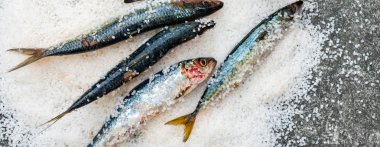 Düz bir su üzerinde yatan deniz tuzu ile tüm çiğ organik uskumru balık