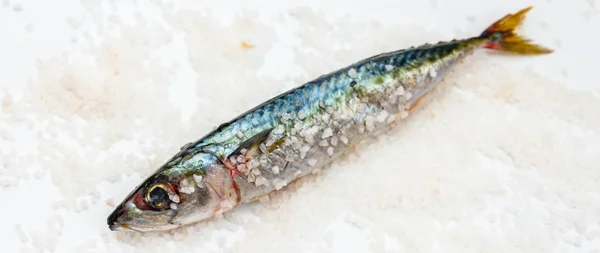 Peixes de cavala orgânicos crus inteiros com sal marinho deitado em um su plano — Fotografia de Stock