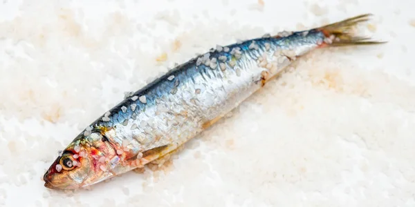 Pesce intero crudo biologico allo sgombro con sale marino adagiato su un fondo piatto — Foto Stock