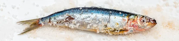 Pesce intero crudo biologico allo sgombro con sale marino adagiato su un fondo piatto — Foto Stock