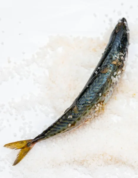 Whole raw organic mackerel fish with sea salt lying on a flat su — Stock Photo, Image