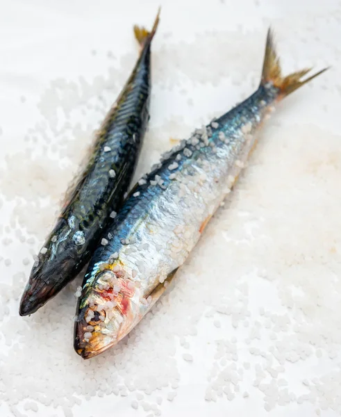 Pescado entero de caballa orgánica cruda con sal marina yaciendo en un plano su —  Fotos de Stock