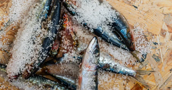 Poisson de maquereau biologique cru entier avec sel de mer couché sur un plat su — Photo