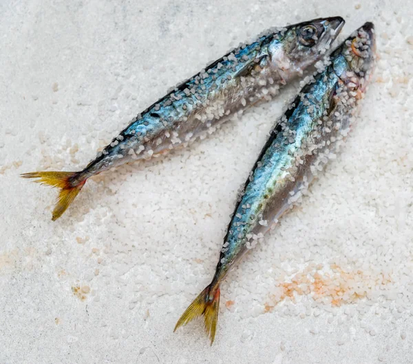 Pescado entero de caballa orgánica cruda con sal marina yaciendo en un plano su —  Fotos de Stock