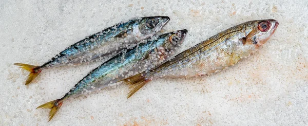 Pescado entero de caballa orgánica cruda con sal marina yaciendo en un plano su — Foto de Stock