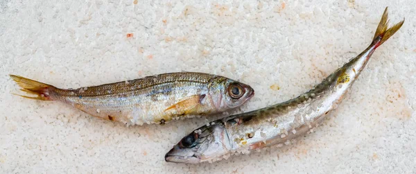 Ganzer roher Bio-Makrelenfisch mit Meersalz auf flachem Boden liegend — Stockfoto