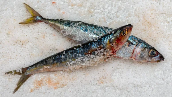 Pescado entero de caballa orgánica cruda con sal marina yaciendo en un plano su —  Fotos de Stock