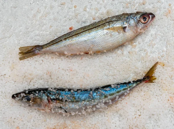 Pescado entero de caballa orgánica cruda con sal marina yaciendo en un plano su — Foto de Stock