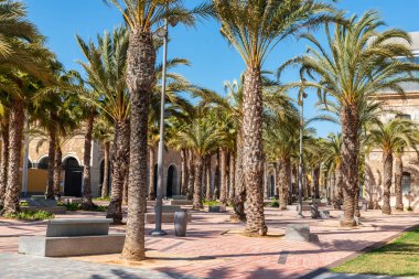 Cartagena, İspanya - 22 Şubat 2019 görüntülemek içinde gezinti 