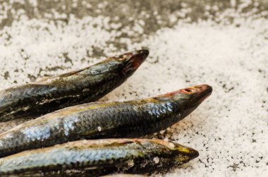 Düz bir su üzerinde yatan deniz tuzu ile tüm çiğ organik uskumru balık